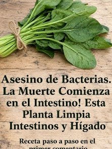El Secreto Oculto de la Espinaca: ¡Desintoxica tu Hígado y Limpia tus Intestinos en Solo 7 Días!