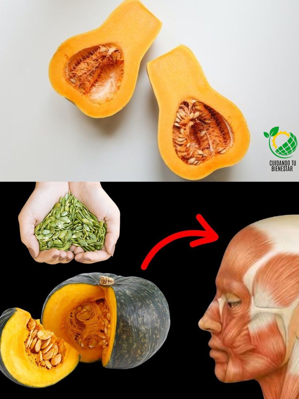 ¡El Secreto Ancestral Revelado! Cómo las Semillas de Calabaza REJUVENECEN tu Vejiga y Próstata en Semanas (y por qué DEBES probarlo)