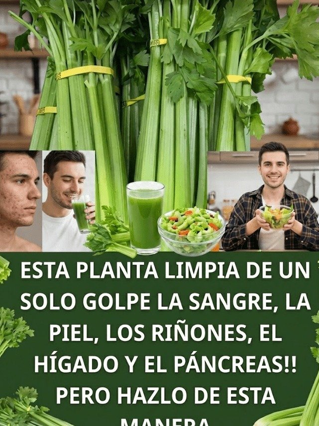 ¡Despierta Tu Mejor Versión! 9 Secretos del Jugo de Apio que Tu Cuerpo Te Está Rogando Descubrir