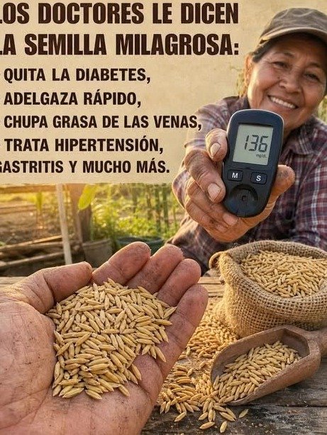 ¡La ÚNICA Semilla que NECESITAS para un Corazón de Acero y una Digestión Perfecta! Los Expertos Confirman sus Poderes Ocultos