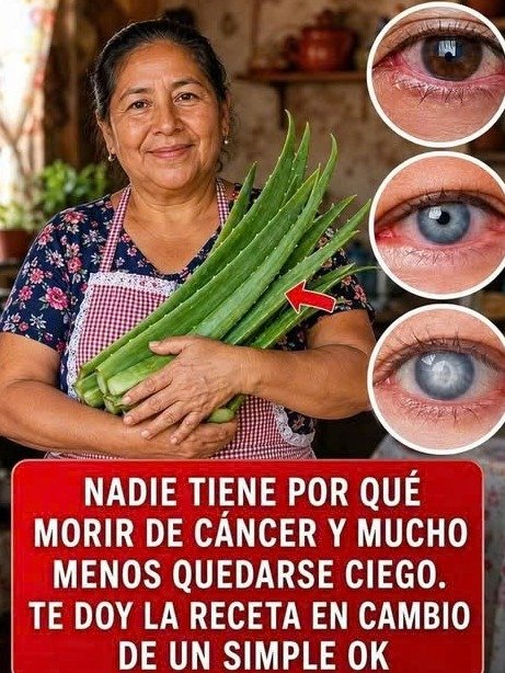 ¡El Dúo Secreto que Está Transformando Vidas! Descubre por qué la Canela y el Aloe Vera son la Combinación Natural del Momento