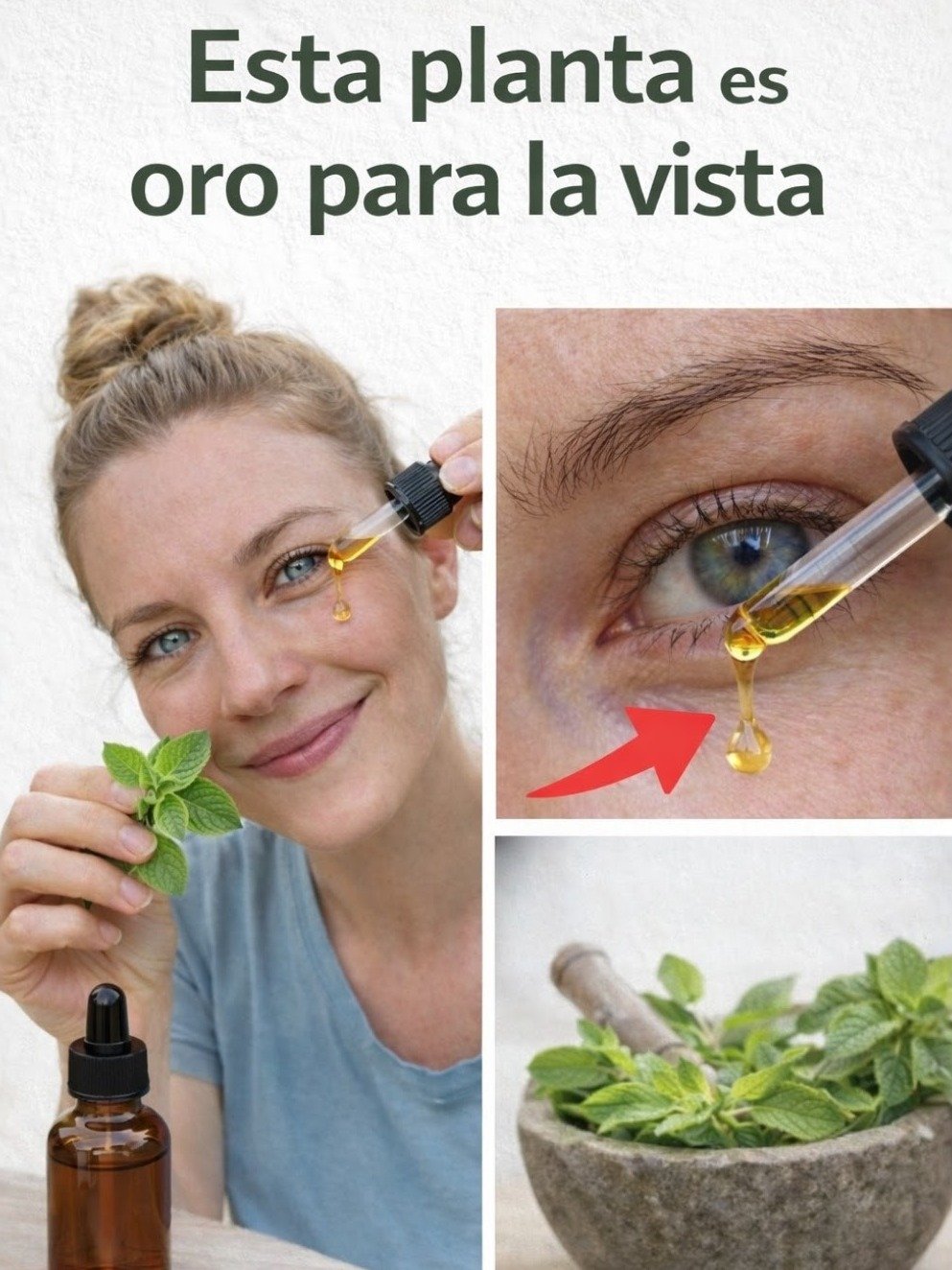 El Secreto Olvidado en Tu Cocina: ¿Puede el Orégano REALMENTE Transformar Tu Visión en Semanas? ¡Descúbrelo Ahora!