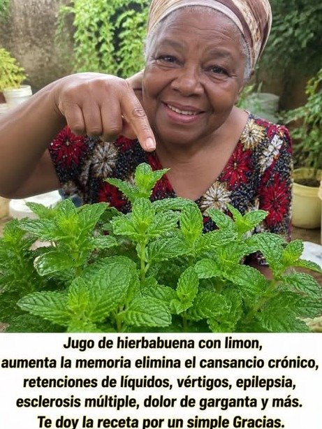 El SECRETO OLVIDADO: Hierbabuena y Limón, el Dúo Mágico que Revoluciona tu Digestión y Energía (¡No te lo pierdas!)