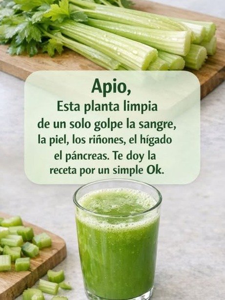 ¡No ignores más este vegetal! El Apio esconde el poder secreto para DESINTOXICAR tus Riñones e Hígado (Tu cuerpo te lo agradecerá)
