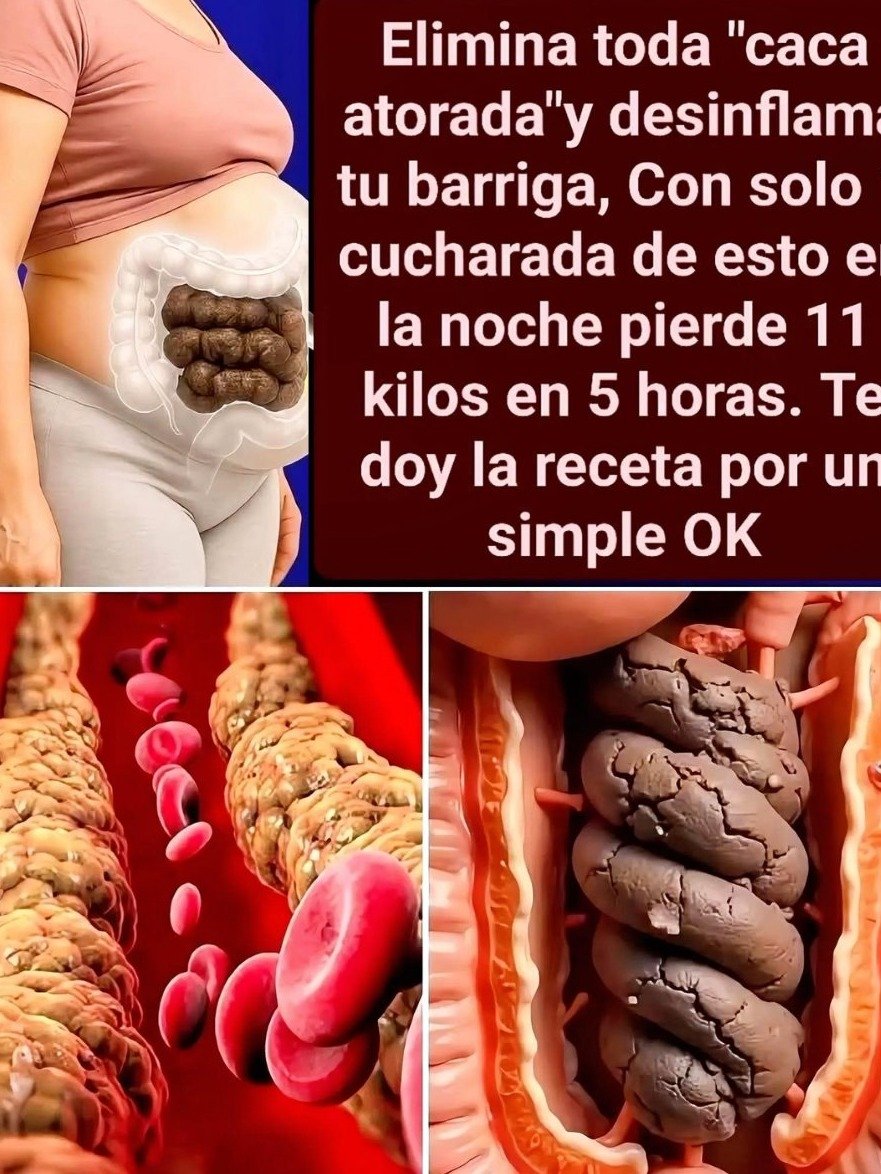 El Jugo Japonés Viral para Desintoxicar el Colon: ¿Es un MILAGRO o una ESTAFA? La Verdad que NADIE te Cuenta