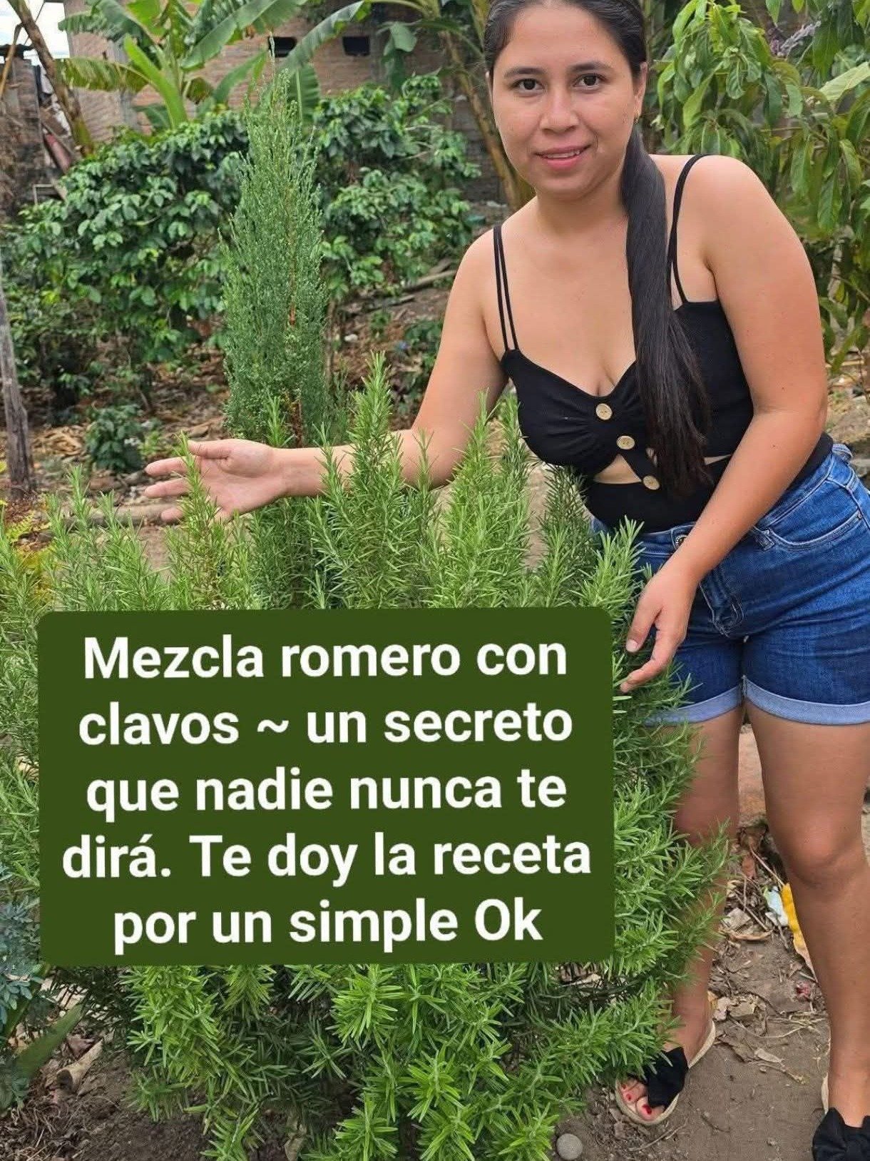 ¡El SECRETO del Té de Romero Revelado! 8 Beneficios Increíbles que NADIE te Contó (Y Cómo Prepararlo Para Máximo Efecto)