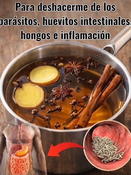 ¡Adiós Hinchazón y Estreñimiento! La Infusión Viral de 3 Ingredientes que Tu Colon Amará (y Tu Abdomen Agradecerá)