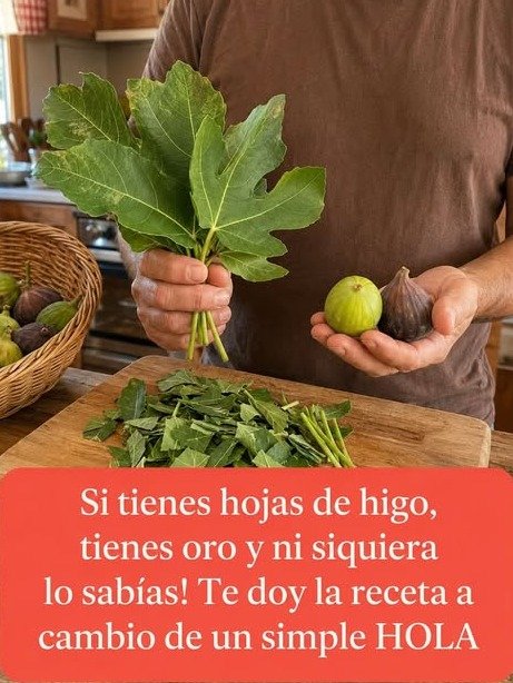 ¡No te lo vas a creer! 20 Secretos Curativos de las Hojas de Higo que Nadie te Ha Contado (¡y Recetas para Usarlos HOY!)