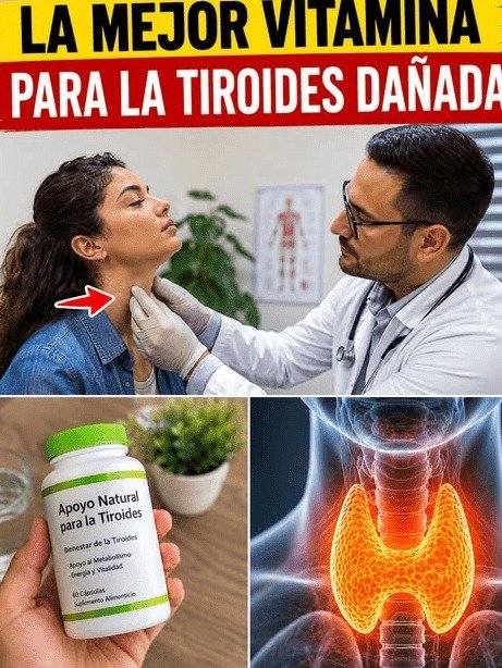 ¡ALERTA! Si Tienes Más de 50 y te Sientes Exhausto, esta es la Vitamina ESENCIAL que tu Tiroides CLAMA y que el 90% de los Mexicanos IGNORA