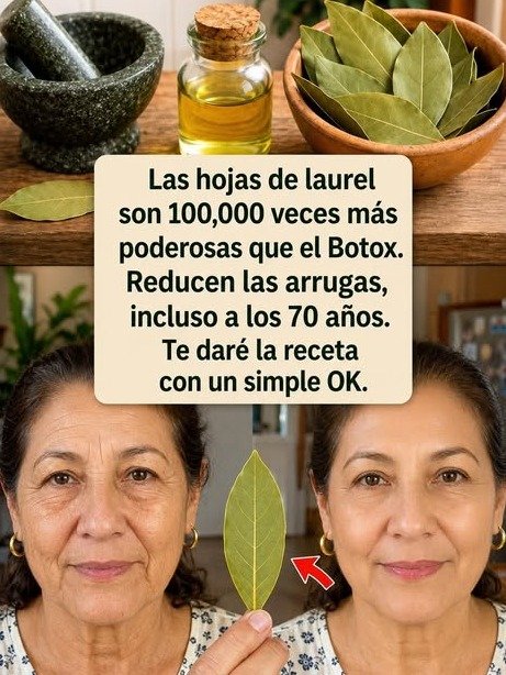 El Secreto Antiedad de tu Cocina: ¡Descubre cómo el laurel puede desafiar las arrugas y rejuvenecer tu piel sin gastar una fortuna!