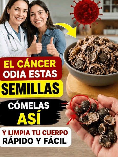¡Alerta! Si Tienes Más de 50, Ignorar Estas 6 Semillas Podría Costarte Tu Energía y Vitalidad