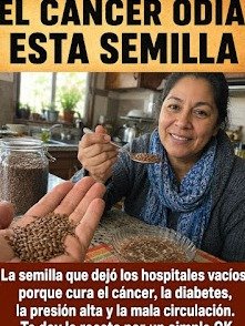 ¡Alerta! 5 Semillas Que Tus Abuelos Ya Usaban y Que La Ciencia Confirma Son El Secreto Para Una Salud Increíble (¡Empieza HOY!)