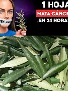 El SECRETO MEJOR GUARDADO contra el CÁNCER: Las 5 claves de Barbara O'Neill que la ciencia tradicional ignora (y tú necesitas saber)