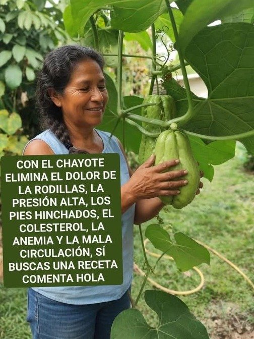 🍋🍐 El SECRETO del Chayote y Limón: La Mezcla Natural que NO TE CONTARON para una Circulación Imparable y Articulaciones Sin Dolor. ¡No te lo pierdas!