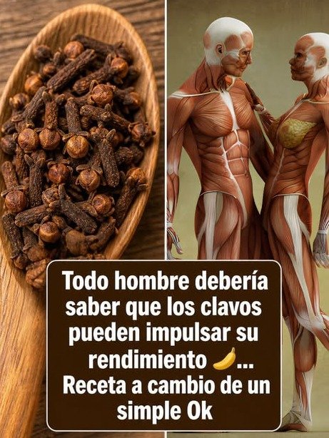 ¡El Secreto Revelado! ¿Por Qué Miles Están Bebiendo Agua de Clavo CADA DÍA para una Digestión Increíble? (¡No te quedes fuera!)