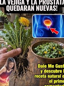 El Remedio CASERO Oculto: ¡Transforma Tu Salud Urinaria Después de los 50 y Duerme Toda la Noche!