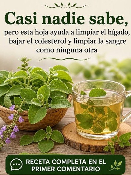¡Alerta Hígado! La Infusión Ancestral que Desintoxica tu Cuerpo (PERO CUIDADO: Esto es lo que Nadie te Dice antes de Tomarla)