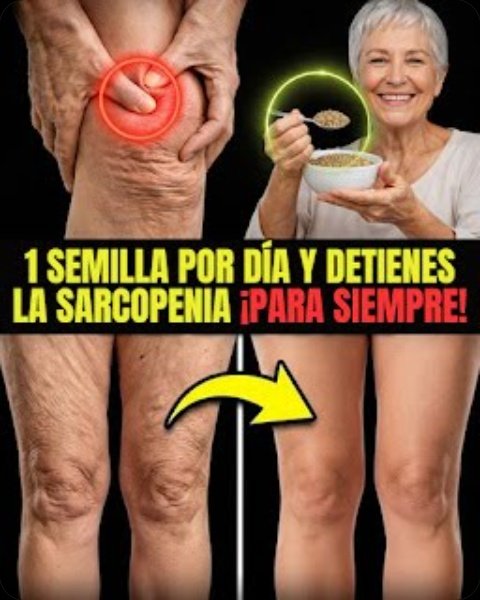 ¡El Secreto que Nadie te Contó! La Semilla Común que REVOLUCIONA tu Masa Muscular después de los 50 (¡Evita el error que todos cometen!)