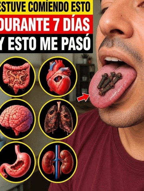 ¡ALERTA! Masticar Clavos de Olor por 7 Días: El Peligro Oculto que NADIE te Advierte si Tienes Más de 50