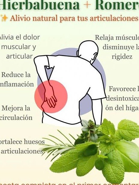 ¡Adiós al Dolor Articular! El Secreto de 2 Hierbas Olvidadas que Tus Rodillas y Cadera Agradecerán al Instante