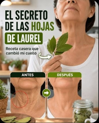 ¡Alerta Roja para tus Riñones! El error con la proteína que el 90% de adultos mayores en México comete (y 6 hábitos que debes parar HOY)