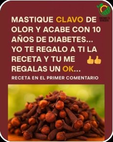 ¡El Secreto Que NADIE Te Cuenta! 20 Razones Asombrosas para Masticar Clavo de Olor CADA DÍA (Tu Cuerpo Te Lo Agradecerá)