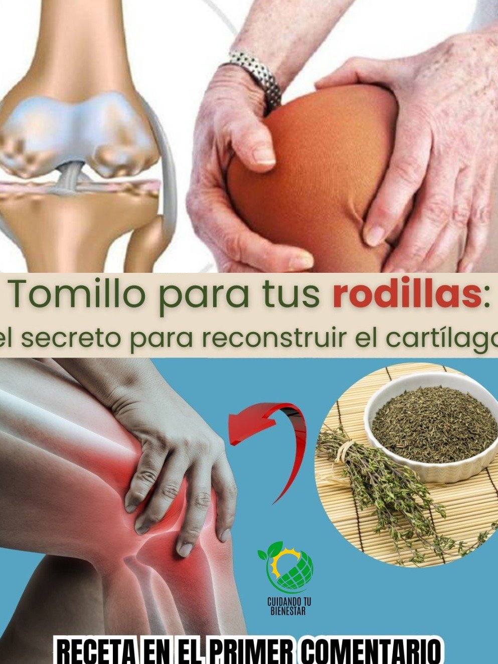 La Verdad Asombrosa: ¡El Tomillo es la Clave para Regenerar el Cartílago de tus Rodillas y Decir Adiós al Dolor!