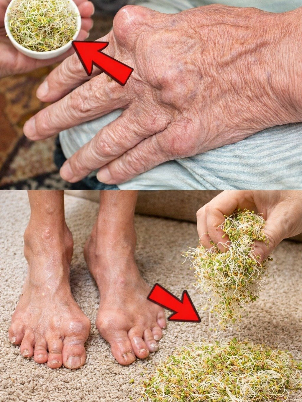 ¡Atención Mayores de 60! El Secreto Natural que Tus Riñones y Articulaciones CLAMAN: No Creerás los Resultados