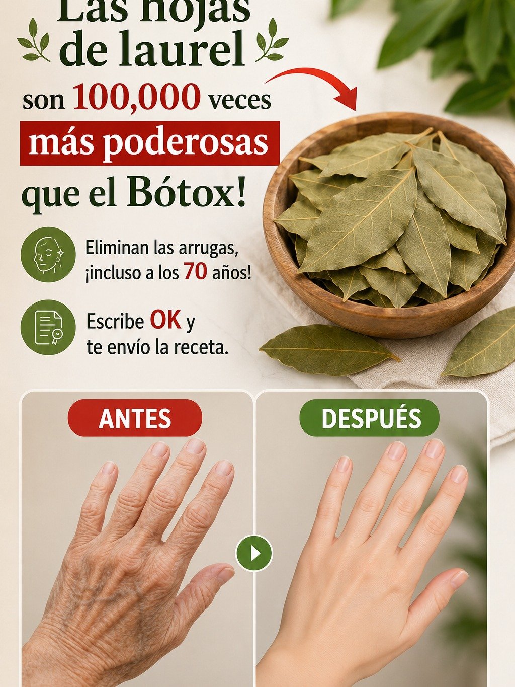 ¡El Secreto Mejor Guardado! Esta Hoja de Laurel Puede Borrar Tus Arrugas y Nadie Te lo Había Dicho