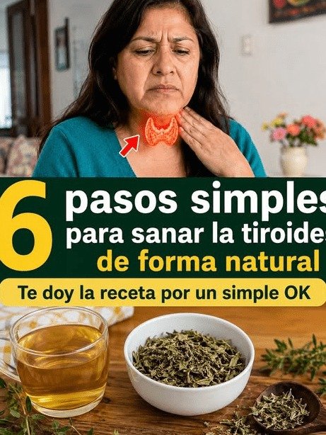 ¡Cansado SIN RAZÓN? Tu Tiroides Te Grita por Ayuda: 6 Hábitos QUE TE AGOTAN y Cómo Recargar Tu Energía HOY Mismo