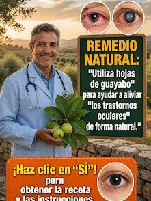 ¡No creerás lo que la GUAYABA puede hacer por tus OJOS! El secreto natural que DEBES conocer AHORA