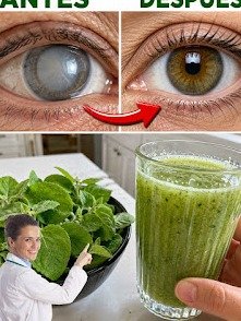 ¡No Vas a Creer Esto! El Secreto Natural que Podría Transformar Tu Visión (¿Adiós a las Gafas?)