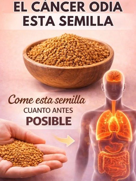 ¡Desbloquea tu Potencial! 🚀 Las 6 Semillas Antioxidantes que Nadie te ha Contado para Multiplicar tu Energía y Proteger tu Corazón (¡No te las Pierdas!)