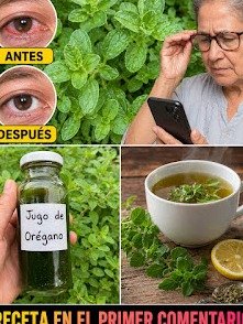 ¡Alerta! El Secreto del Orégano Orejón: 8 Recetas Caseras que Limpiarán Tus Riñones y Despertarán Tu Vista (¡Nadie Te Lo Había Dicho!)