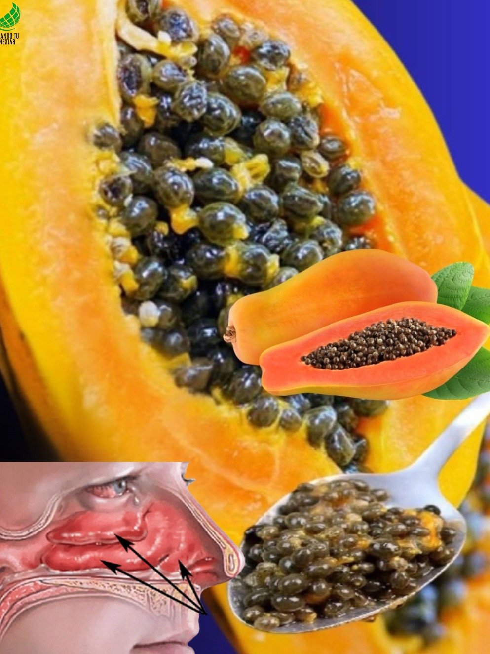 El Secreto Oculto que NADIE te Cuenta: Cómo la Papaya y Sus Semillas Limpian Tu Colon y Eliminan Parásitos en Días