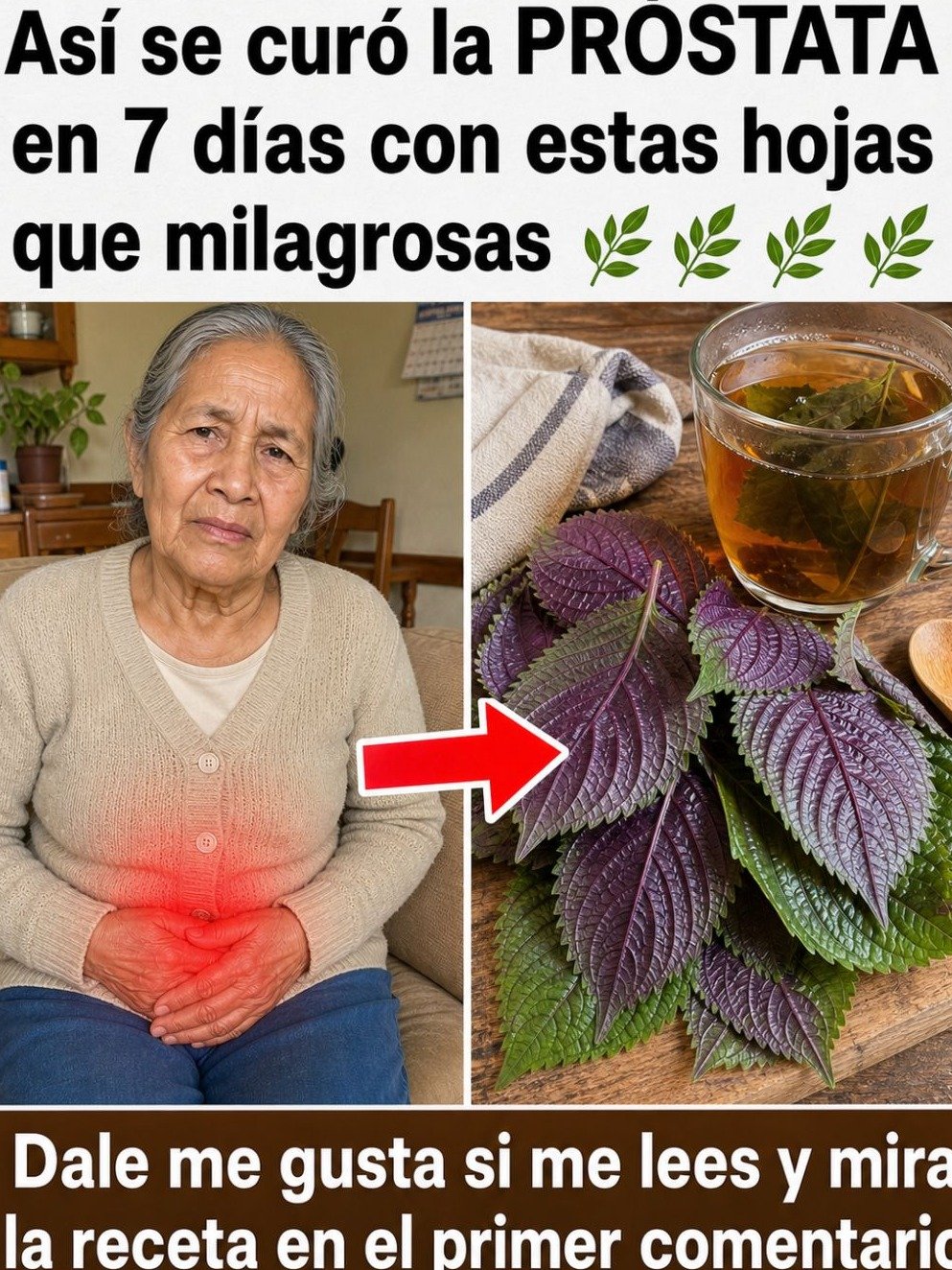 La Raíz de Ortiga: ¿El Súper Héroe Silencioso de Tu Salud? Descubre CÓMO Usarla y Cuándo Para Ver Resultados Reales