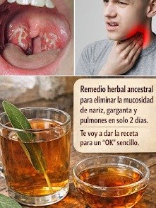 ¡Adiós al Moco Persistente! Descubre el Secreto de la Salvia para Liberar Tus Pulmones, Nariz y Garganta HOY Mismo