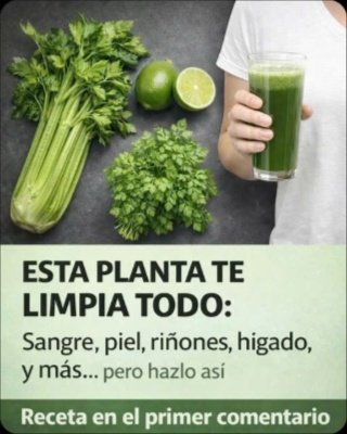 Jugo de Apio en Ayunas: ¿Elixir Mágico o Peligro Oculto? Lo Que NADIE Te Cuenta de Sus Efectos Reales