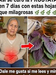 El Secreto Mejor Guardado para Noches Completas: ¿La Raíz de Ortiga Transformará Tu Descanso (y Tu Vida)?