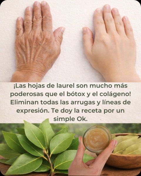 ¡El SECRETO ANTIEDAD que tienes en tu cocina! ¿Las hojas de laurel son el Bótox natural que tu piel NECESITA?