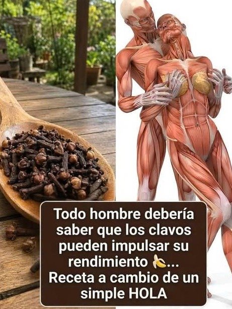 ¡El Secreto Milenario Revelado! La Infusión de Clavo y Canela que Está Revolucionando el Bienestar y NO Querrás Perderte