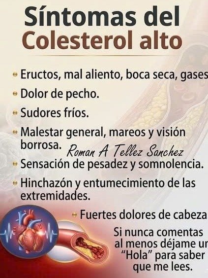 ¡Desafía al Colesterol Alto! 8 Secretos Naturales que Nadie Te Ha Contado para Blindar Tu Corazón y Vivir Más Pleno