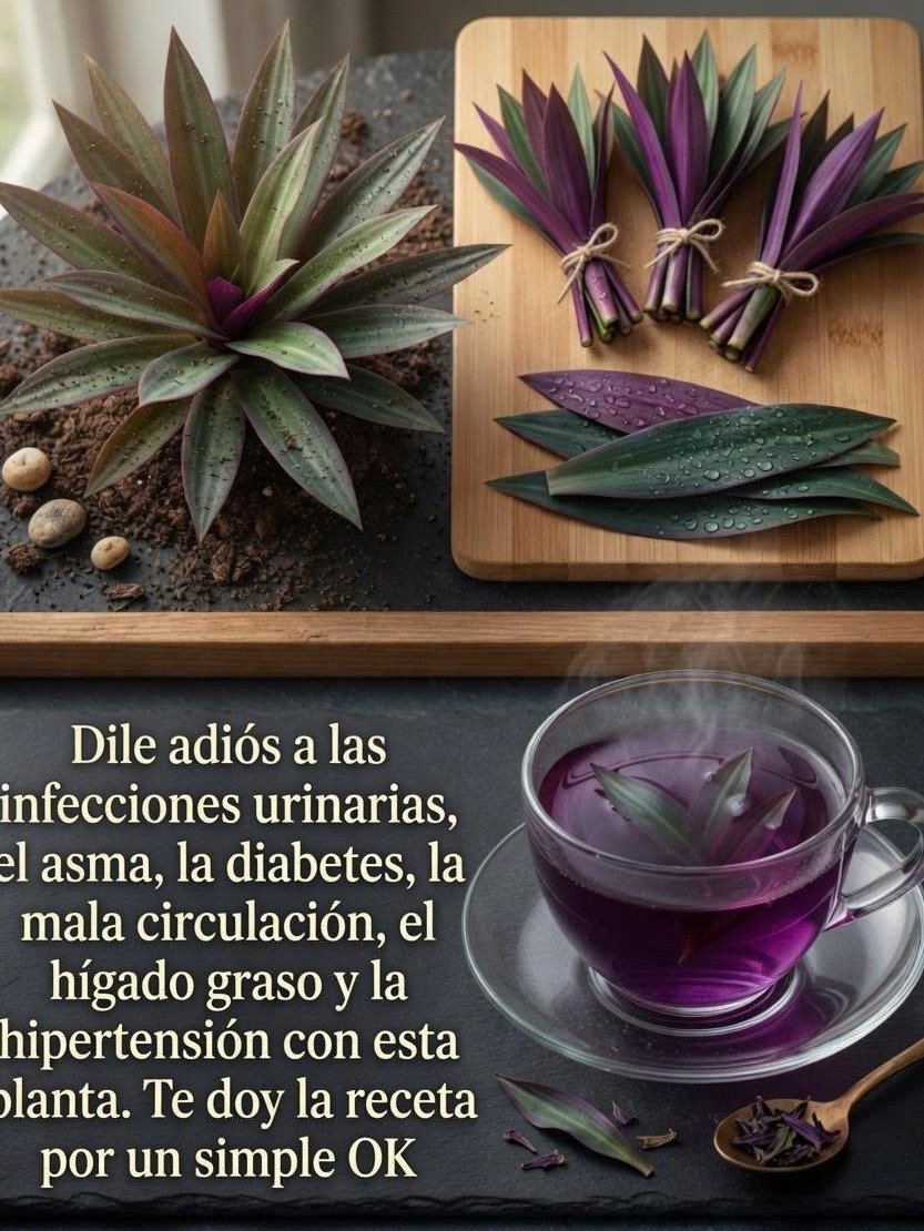 ¡El Secreto Olvidado de la Naturaleza! 🌿 Esta Planta 'Maleza' Oculta el Poder de Transformar Tu Salud (Y la Tienes Cerca)