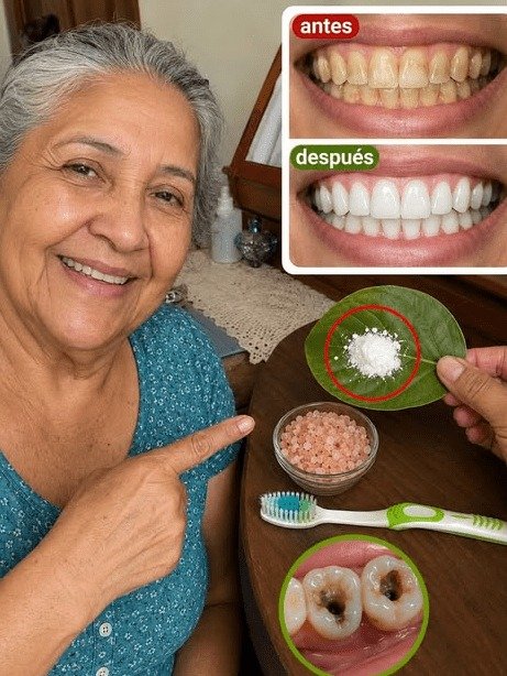 ¿Usas Hojas de Guayaba para tu Boca? ¡El Error CRÍTICO que el 90% de los Adultos Mayores en México NO CONOCEN y que podría Costarte tu Sonrisa!