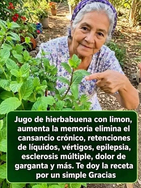 ¡El Secreto Que Tu Cuerpo Pide a GRITOS! 🍋🌿 Descubre Cómo la Hierbabuena con Limón Puede TRANSFORMAR Tu Energía y Limpieza Interna (¡No Te Lo Pierdas!)