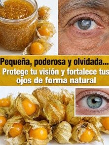 El Secreto Olvidado de los Andes: Cómo la Uchuva Puede REVOLUCIONAR Tu Visión de Forma Natural (¡Resultados Sorprendentes!)