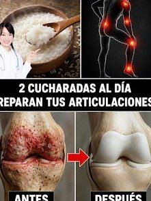 ¡No Vas a Creerlo! El Alimento Diario #1 que los Expertos Recomiendan para BLINDAR el Cartílago de Tus Rodillas (y Ya lo Tienes en Casa)