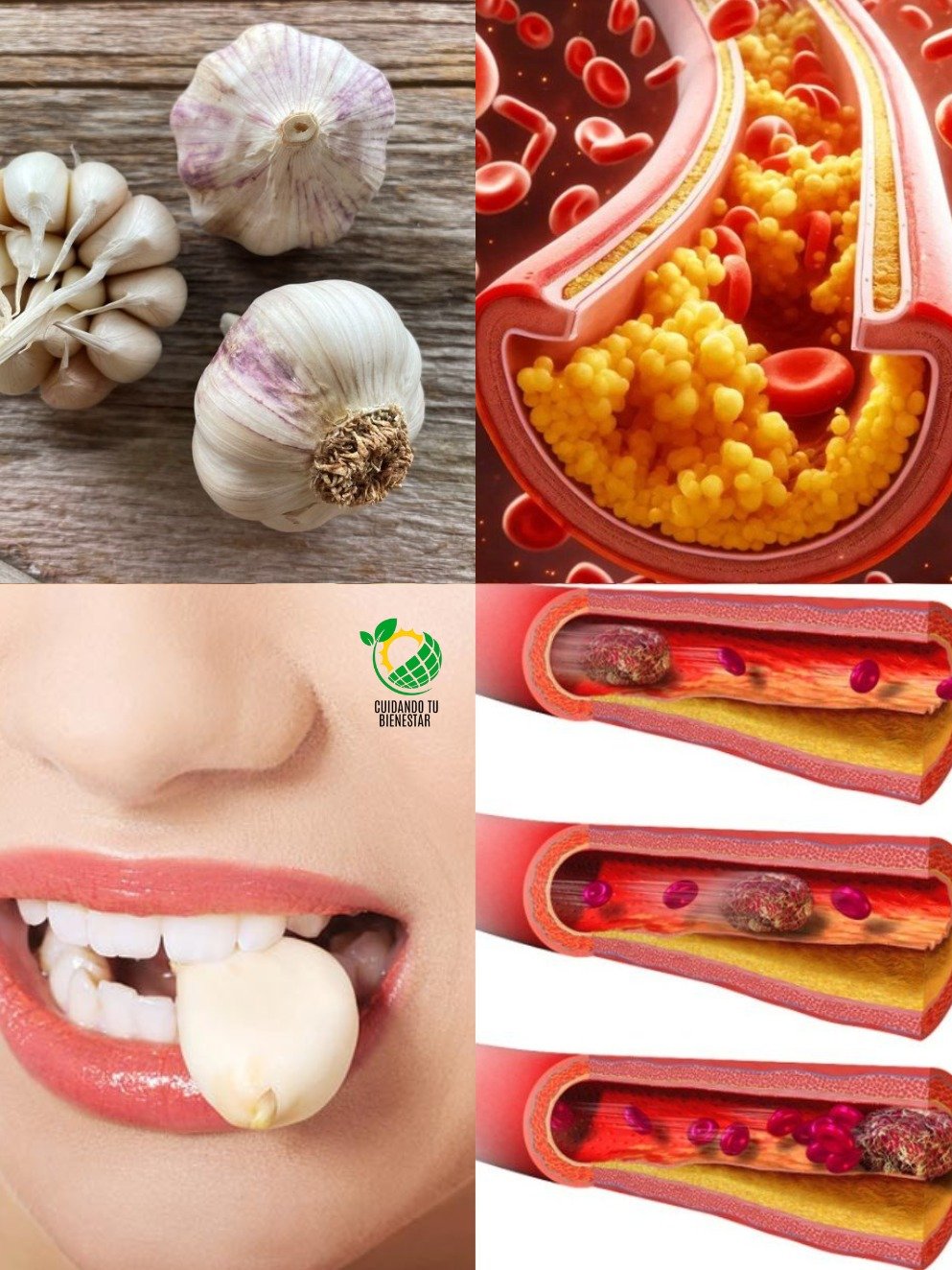 ¡Alerta de Salud! Descubre los 8 Increíbles Secretos que el Ajo Hace por Ti CADA Noche (Y Que Nadie Te Contó)