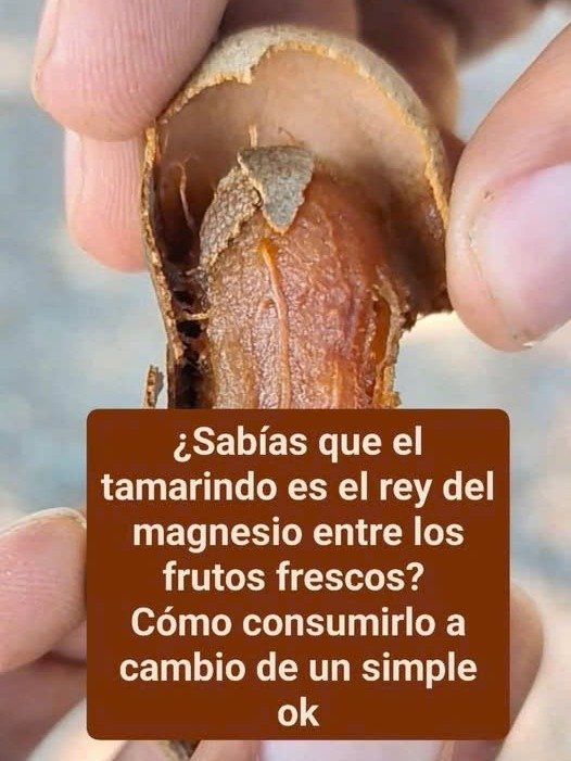 ¡Desbloquea el Secreto! 8 Razones Impactantes por las que el Tamarindo DEBE Estar en Tu Dieta HOY
