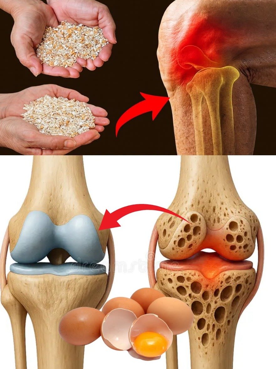 ¡ALTO! No tires las cáscaras de huevo: 9 usos ASOMBROSOS que nadie te contó y que cambiarán tu vida (y tu bolsillo) 🥚✨